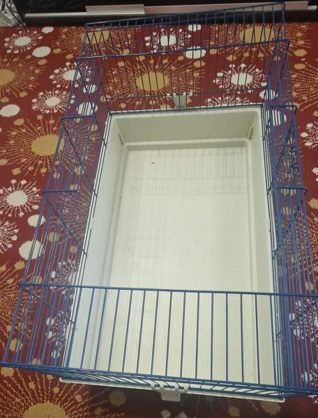 Marsut häkki ja avattu Omenaheinä Pomppis 500 g Helsinki - valokuva 6