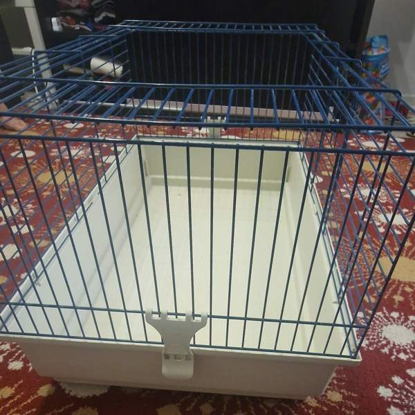 Marsut häkki ja avattu Omenaheinä Pomppis 500 g Helsinki - valokuva 4