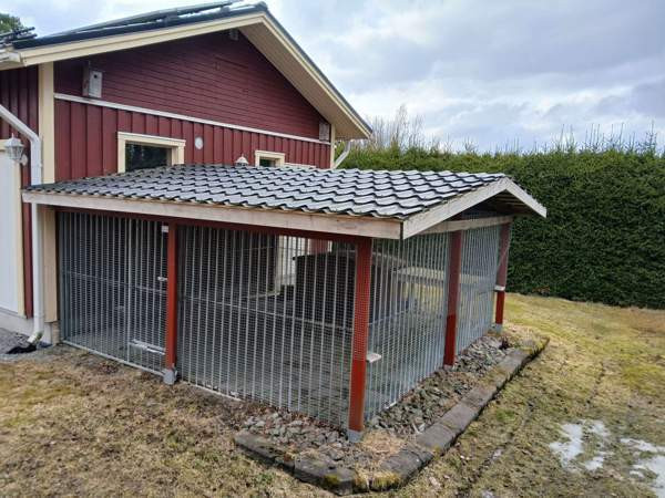 Jämpti Koiratarha Isokyrö - изображение 1