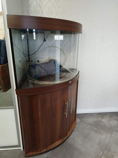 Kulma akvaario Kauhava - изображение 2