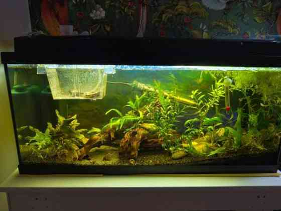 Akvaario setti Heinola