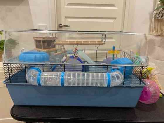 Hamsterin häkki Kouvola