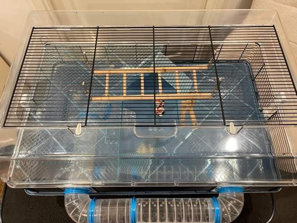 Hamsterin häkki Kouvola – foto 2