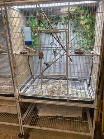 lintuhäkki Эспоо