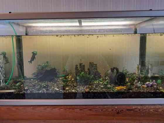 Akvaariopaketti 250L Вихти