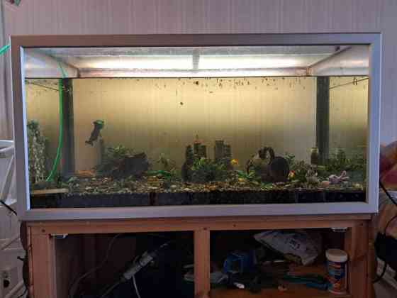 Akvaariopaketti 250L Вихти