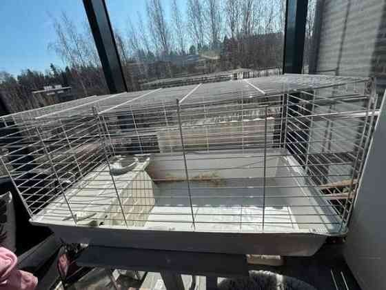 Jyrsijän häkki Эспоо