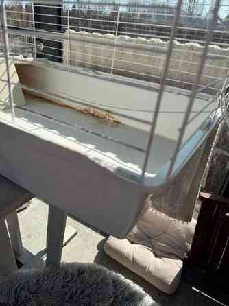 Jyrsijän häkki Эспоо