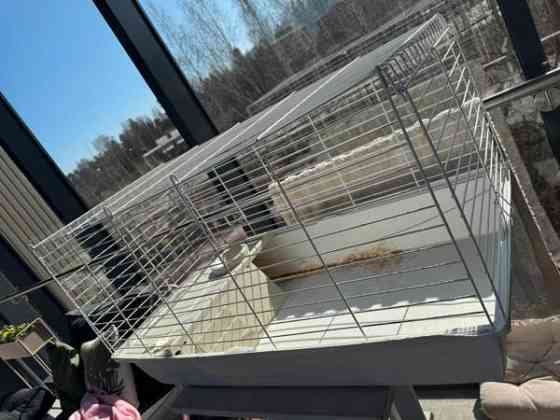 Jyrsijän häkki Эспоо