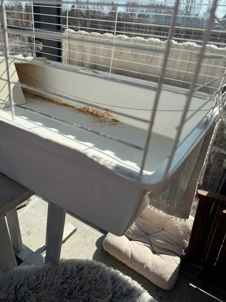 Jyrsijän häkki Espoo - valokuva 3