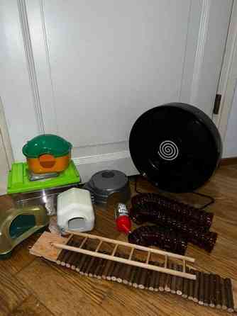 Jyrsijän häkki tarvikkeineen Kontiolahti