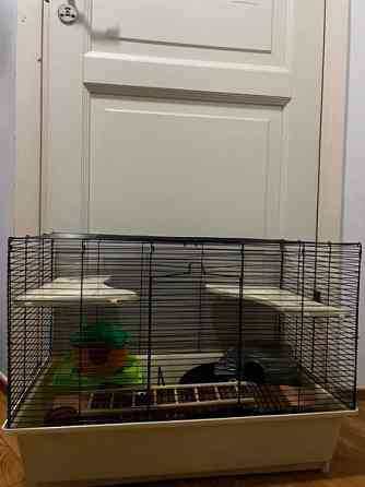 Jyrsijän häkki tarvikkeineen Kontiolahti