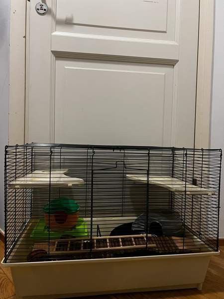 Jyrsijän häkki tarvikkeineen Kontiolahti - valokuva 1