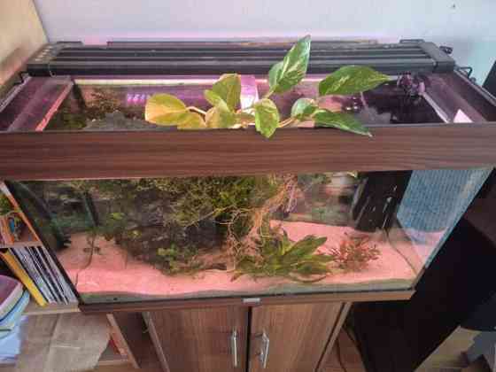 Juwel akvaario 120l Вантаа