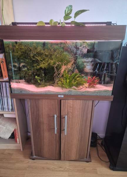 Juwel akvaario 120l Vantaa – foto 1