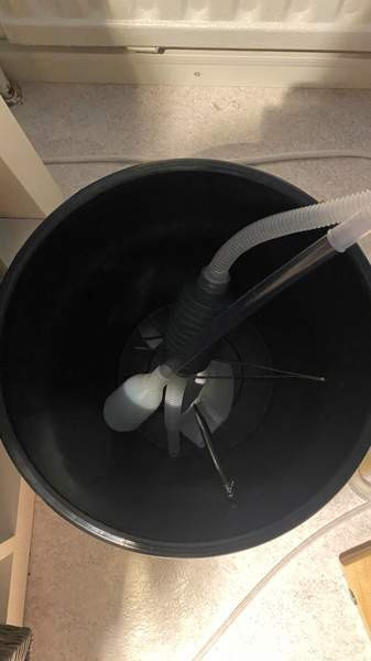 Akvaario ja kala Турку - изображение 5