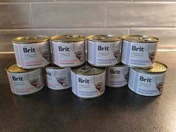 Brit kissan allergiaruokaa Pori