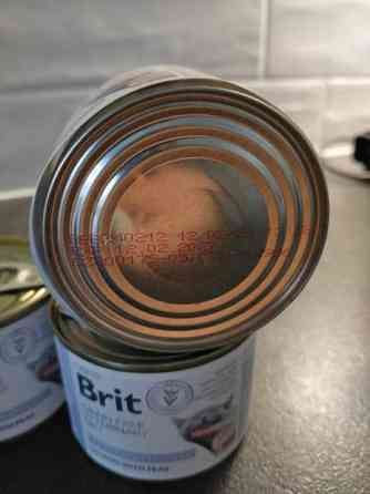 Brit kissan allergiaruokaa Pori