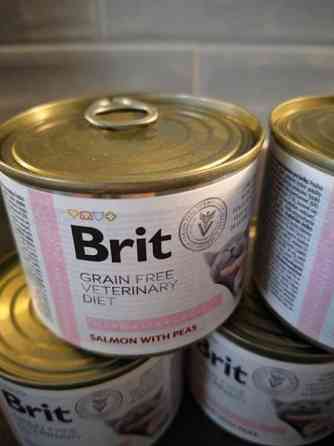 Brit kissan allergiaruokaa Pori