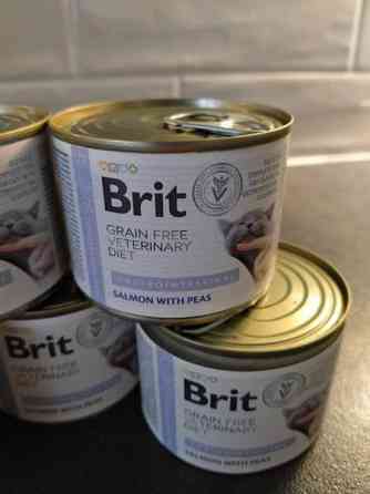 Brit kissan allergiaruokaa Pori