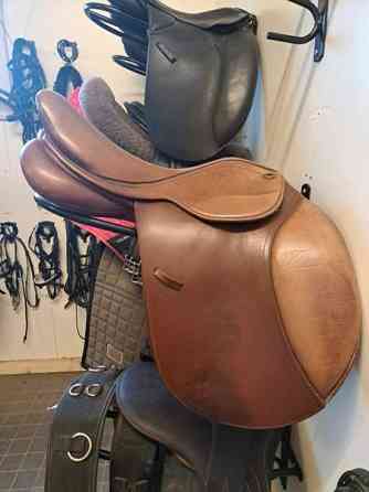 Equitare estesatula Hämeenkyrö