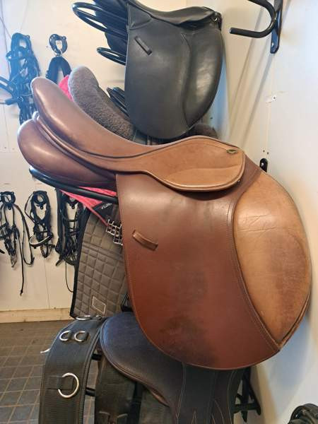 Equitare estesatula Hämeenkyrö - valokuva 1