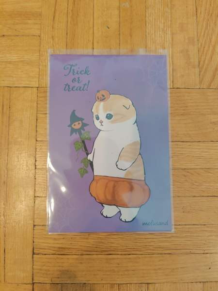 Kissa postikortti japanista Lappeenranta – foto 1