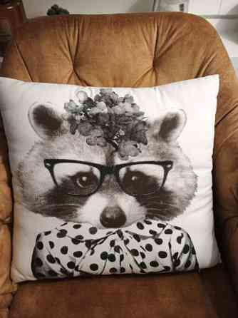 Söpö sohvatyyny kettu (pesukarhu koristetyyny ) Vantaa