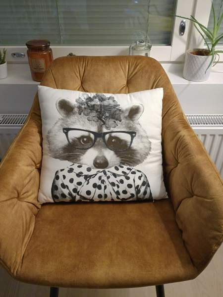 Söpö sohvatyyny kettu (pesukarhu koristetyyny ) Вантаа - изображение 1