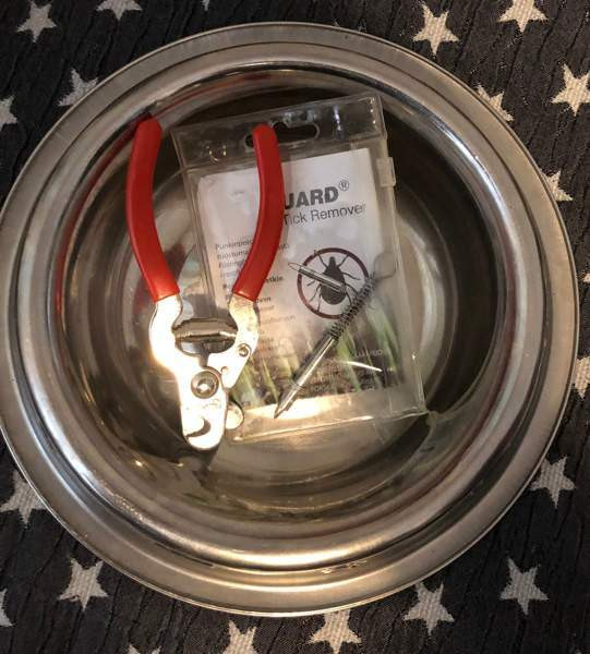 Lemmikkitarvikkeet Turku – foto 2