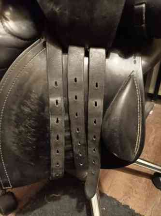 Yelissatula Polvijärvi