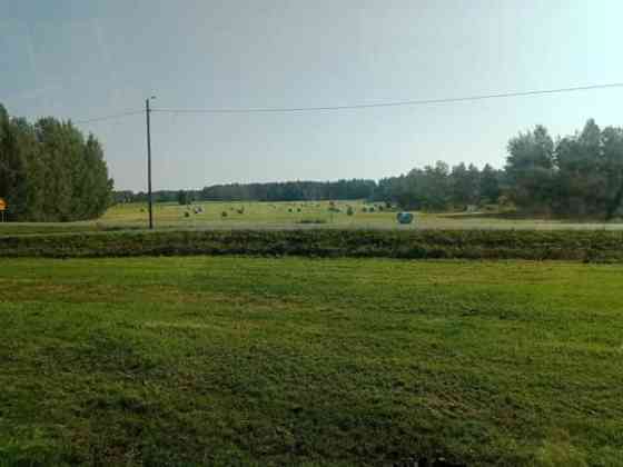 Olisi vielä vähän kuivaa heinää tarjolla Muhos