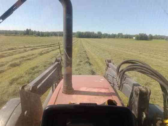 Olisi vielä vähän kuivaa heinää tarjolla Muhos