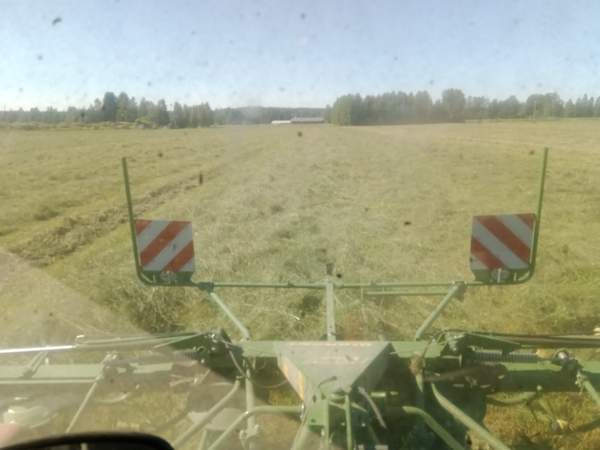 Olisi vielä vähän kuivaa heinää tarjolla Muhos – foto 5