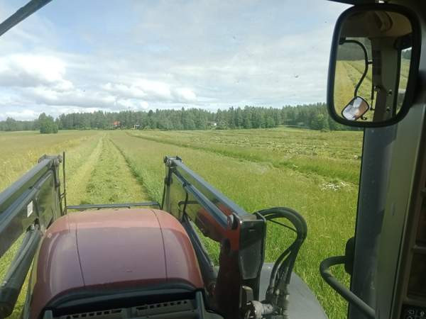 Olisi vielä vähän kuivaa heinää tarjolla Muhos – foto 2