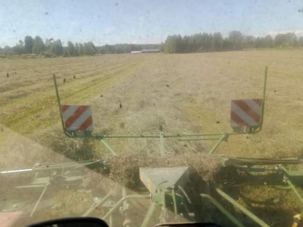 Olisi vielä vähän kuivaa heinää tarjolla Muhos – foto 4