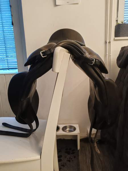 Tölthester Di-flex Keminmaa - valokuva 6