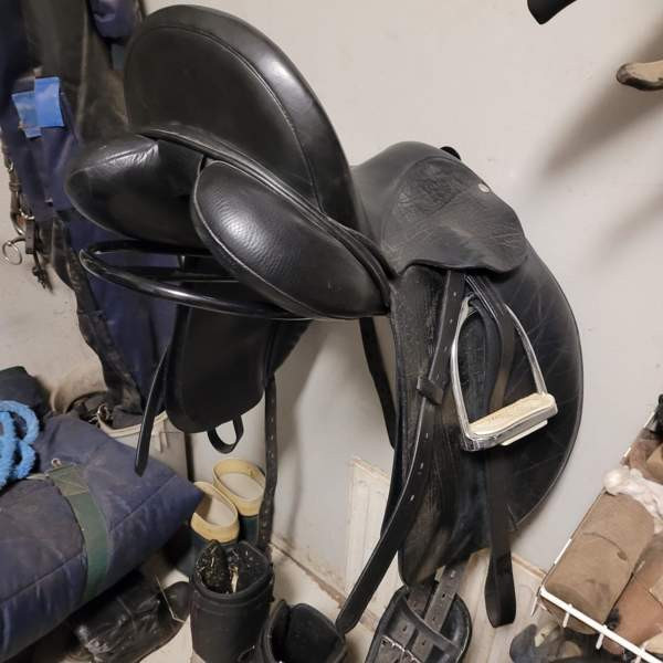 Koulusatula Frank Baines Elegance Kalajoki - valokuva 4