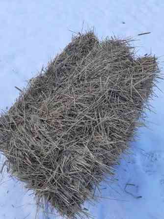 Kuivaa heinää pikkupaalissa Akaa