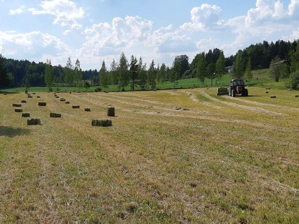 Kuivaa heinää pikkupaalissa Akaa - изображение 1