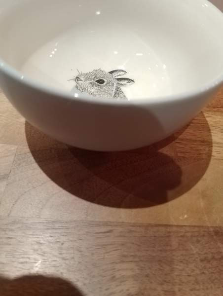 Bloomingvillemini kulhot 3dl Nurmijaervi - photo 8