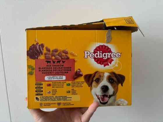 Pedigree annospussit hyytelössä Tampere