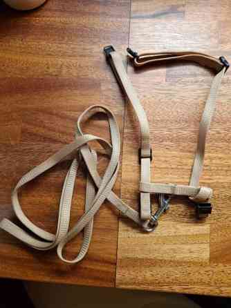 Kissan valjaat ja hihna Lempaeaelae