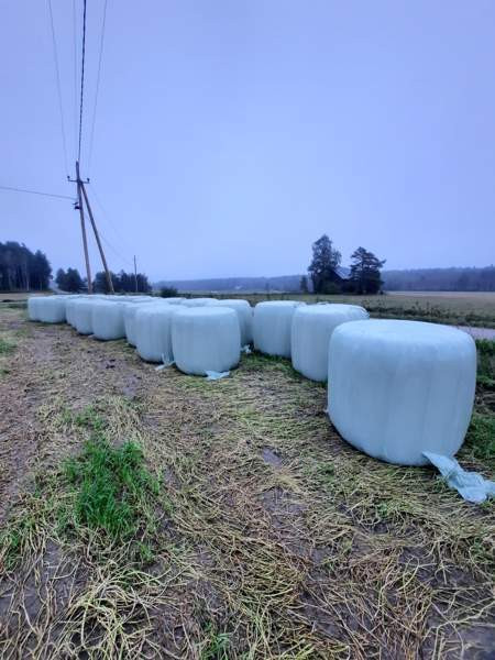 Apila paaleja Сало - изображение 1