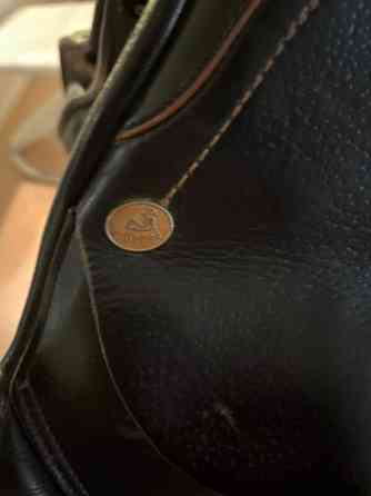 Appaloosa Golden Star estesatula Espoo