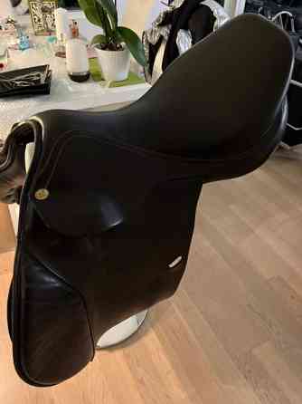 Appaloosa Golden Star estesatula Espoo