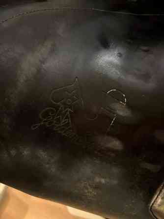 Appaloosa Golden Star estesatula Espoo