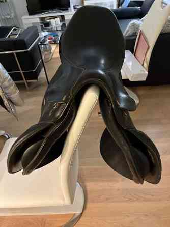 Appaloosa Golden Star estesatula Espoo