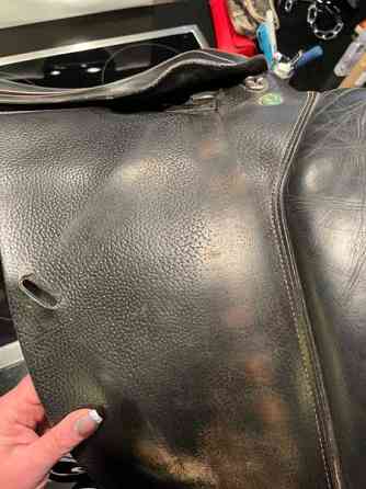 Appaloosa Golden Star estesatula Espoo