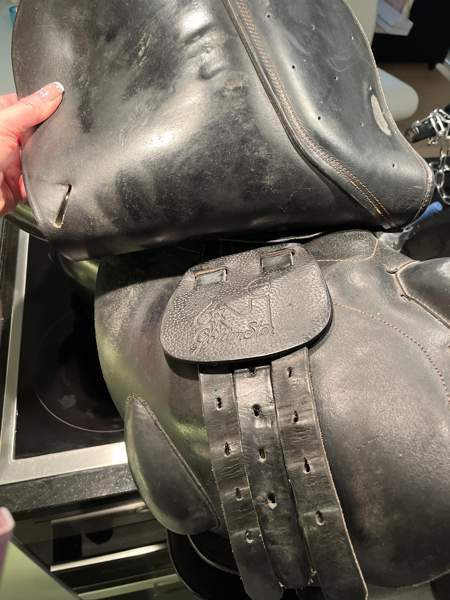 Appaloosa Golden Star estesatula Espoo – foto 7